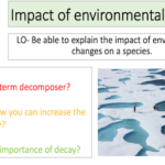 Impact of environmental changes