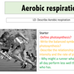 Aerobic respiration