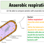 Anaerobic respiration