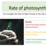 Rate of photosynthesis