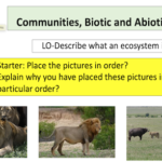 Communities, Biotic and Abiotic factors