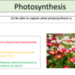 Photosynthesis