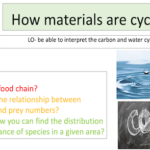 How materials are cycled