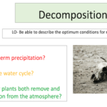 Decomposition