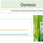 Osmosis