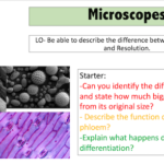 Microscopes