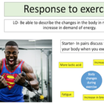 Response to exercise