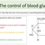 Control of blood glucose levels
