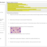 AQA Biology Paper 1 Revision Sheets