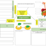 AQA Organisation revision matt