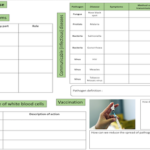 AQA Infection and response revision matt