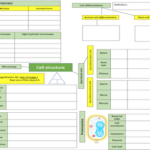 AQA Cell biology revision matts