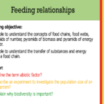 IGCSE Edexcel Biology (9-1) Feeding relationships