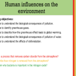 IGCSE Edexcel Biology (9-1) Human influences on the environment
