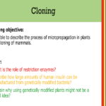 IGCSE Edexcel Biology (9-1) Cloning