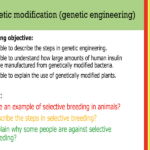 IGCSE Edexcel Biology (9-1) Genetic modification (genetic engineering)