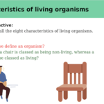 IGCSE Edexcel Biology (9-1) Characteristics of living organisms