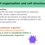 IGCSE Edexcel Biology (9-1) Level of organisation and Cell structure