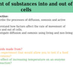 IGCSE Edexcel Biology (9-1) Movement of substances into and out of cells