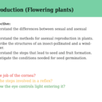 IGCSE Edexcel Biology (9-1) Reproduction (Flowering plants)