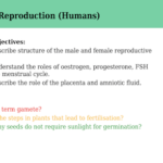 IGCSE Edexcel Biology (9-1) Reproduction (Humans)